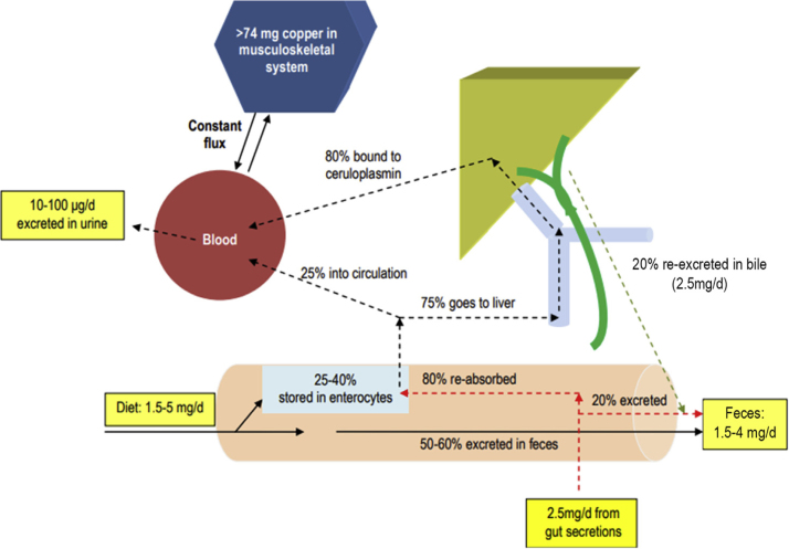 Figure 1