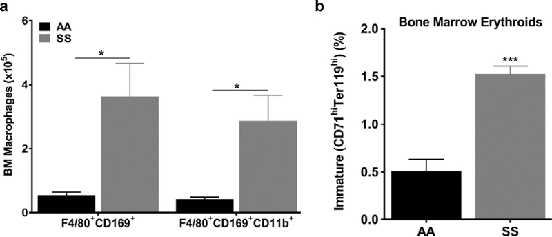 Figure 5: