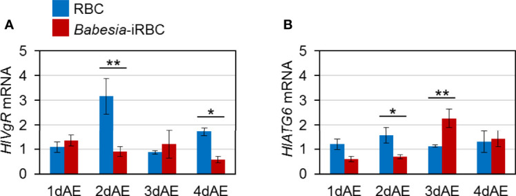 Figure 3