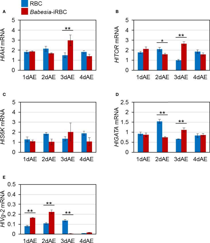 Figure 2