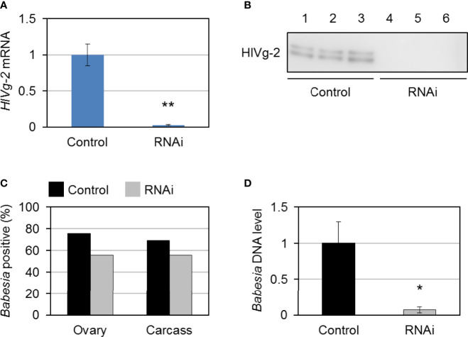 Figure 5