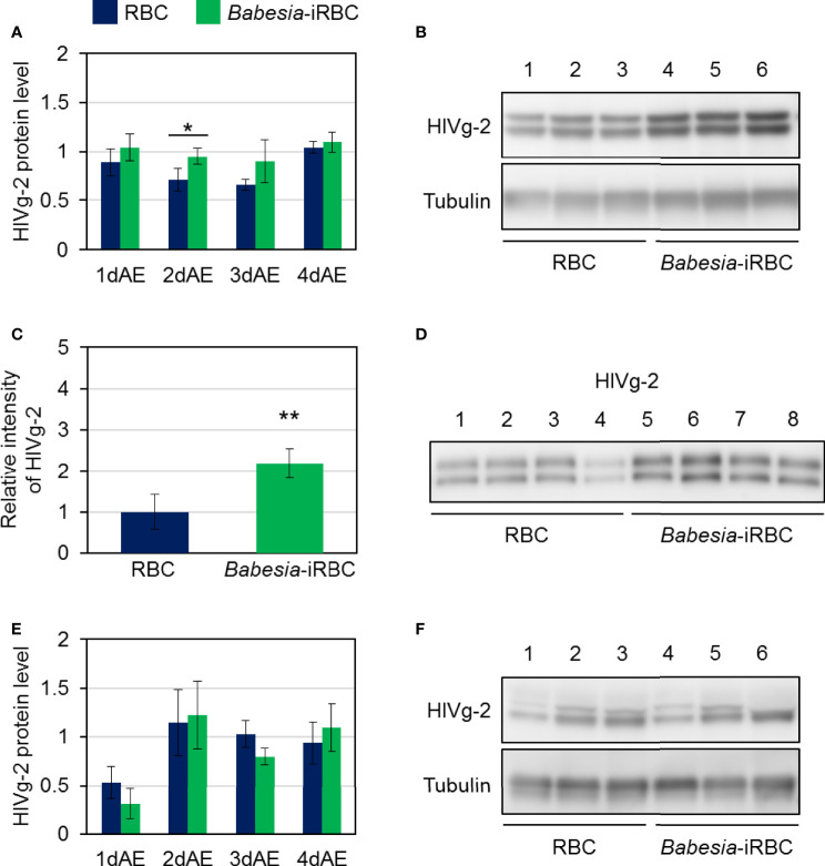 Figure 4