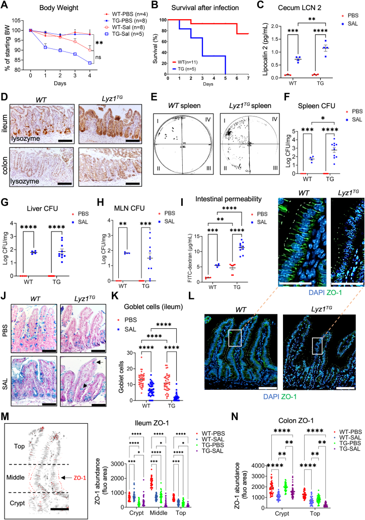 Figure 2