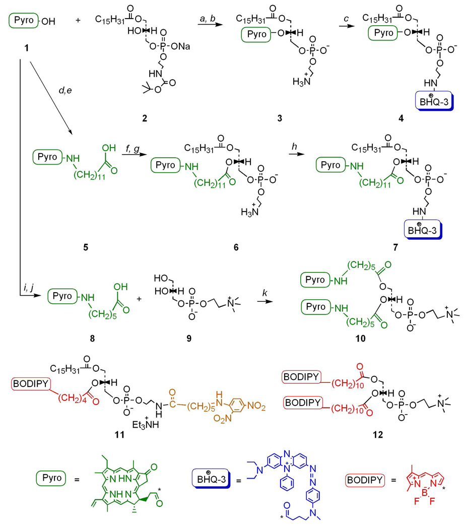 Scheme 1