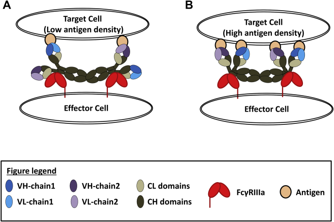 Figure 6