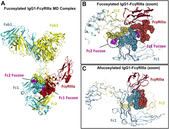 Figure 3