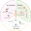 Graphical Abstract