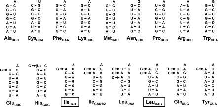 FIGURE 4.