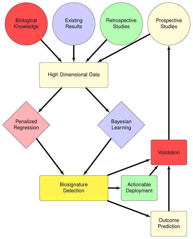 Key Figure 1