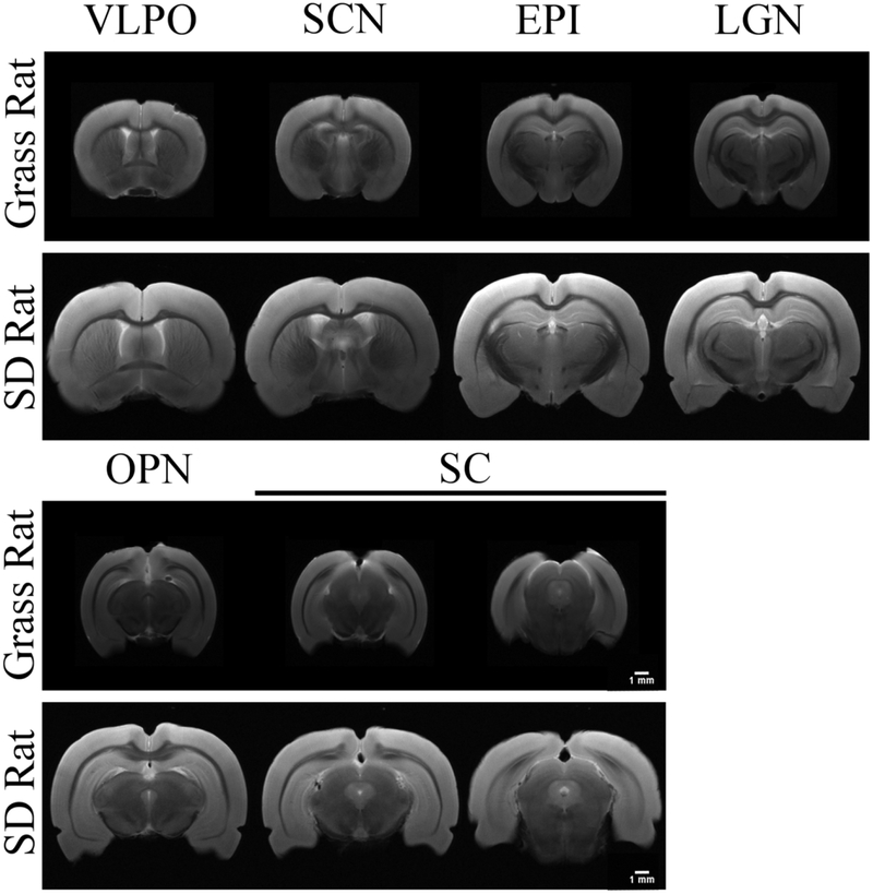 Figure 6.