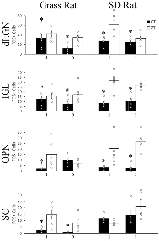 Figure 5.