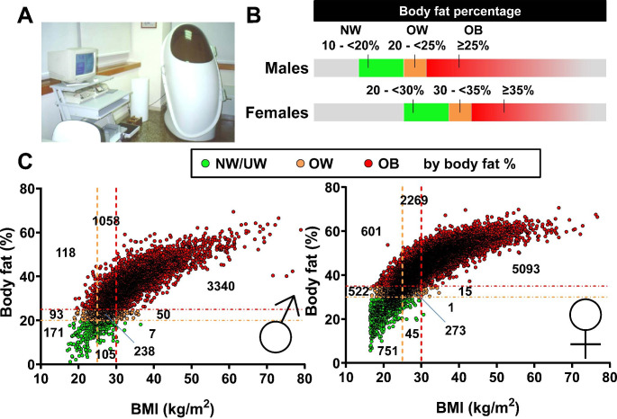 Fig. 3