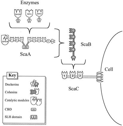 FIG. 6.