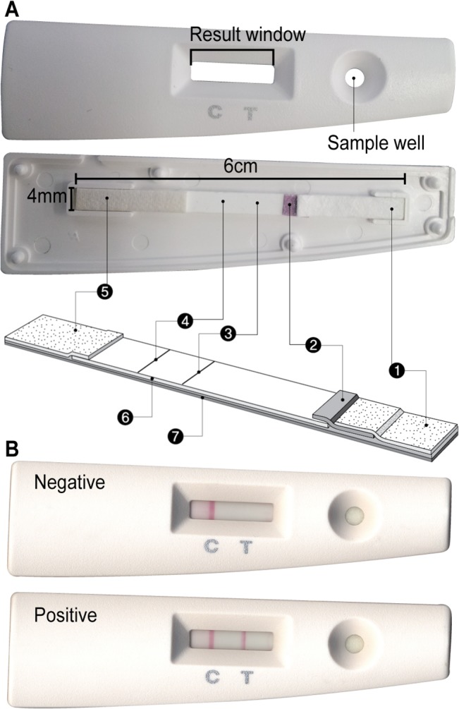 Fig 2