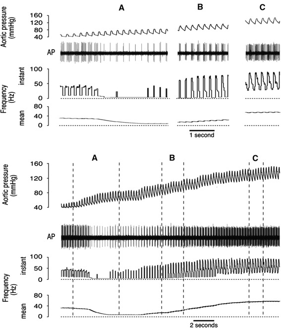 Fig. 5