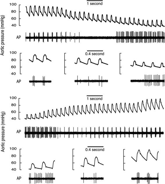 Fig. 7