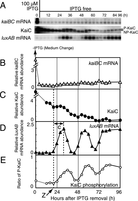 FIG. 4.