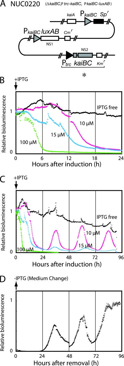 FIG. 1.