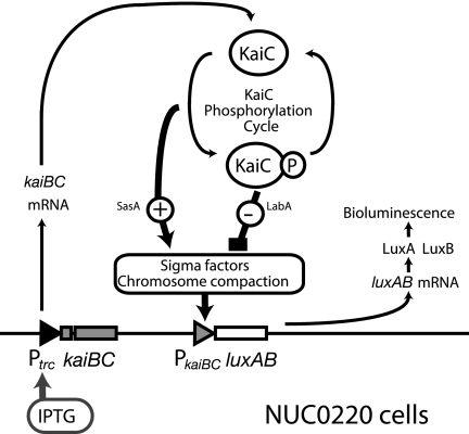 FIG. 6.