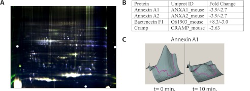 FIGURE 1.