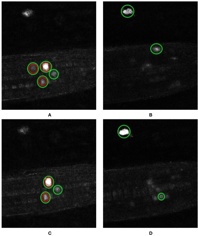 Figure 10