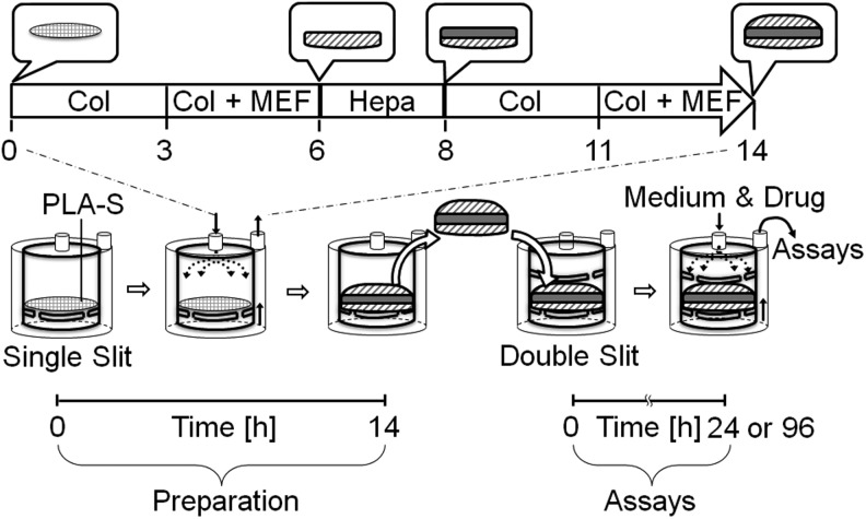 FIG. 1.