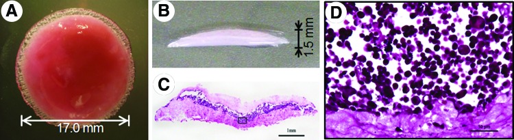 FIG. 2.