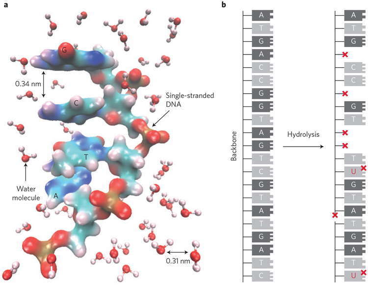 Figure 2 |