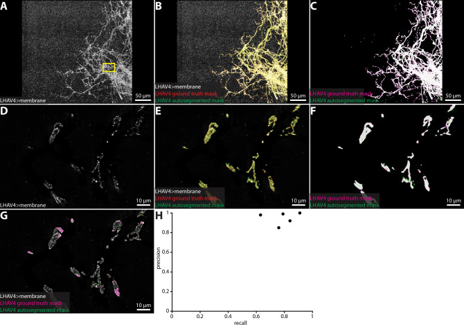 Figure 2—figure supplement 2.