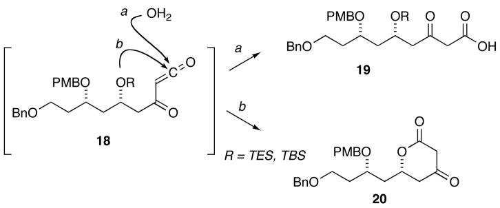 Scheme 4