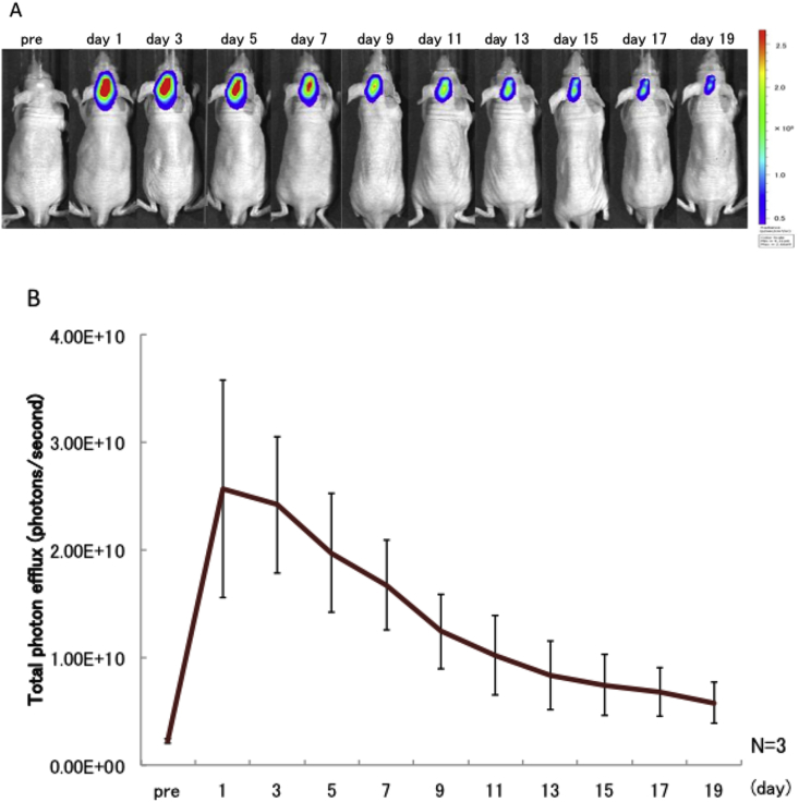 Figure 1