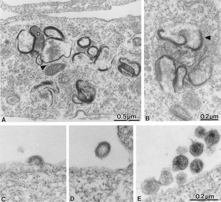 FIG. 8