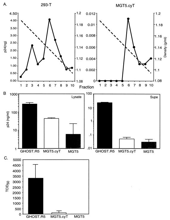 FIG. 7