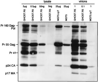 FIG. 5