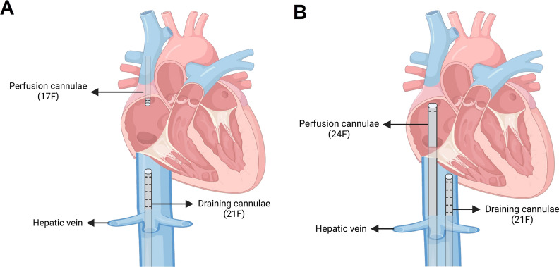 Fig. 1