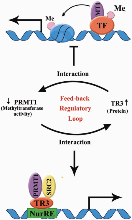 Figure 7.