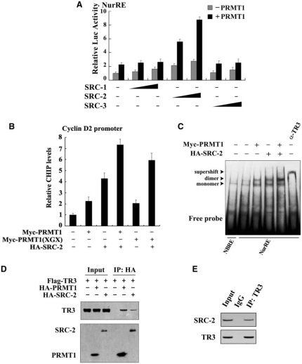 Figure 3.