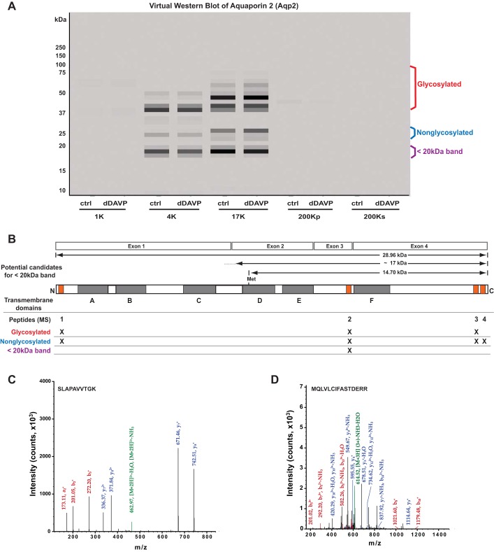 Fig. 12.