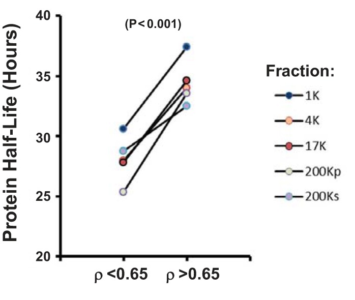 Fig. 11.