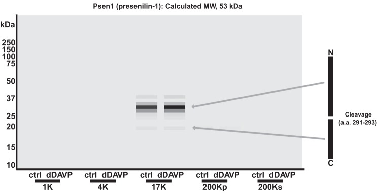 Fig. 9.