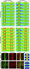Figure 4