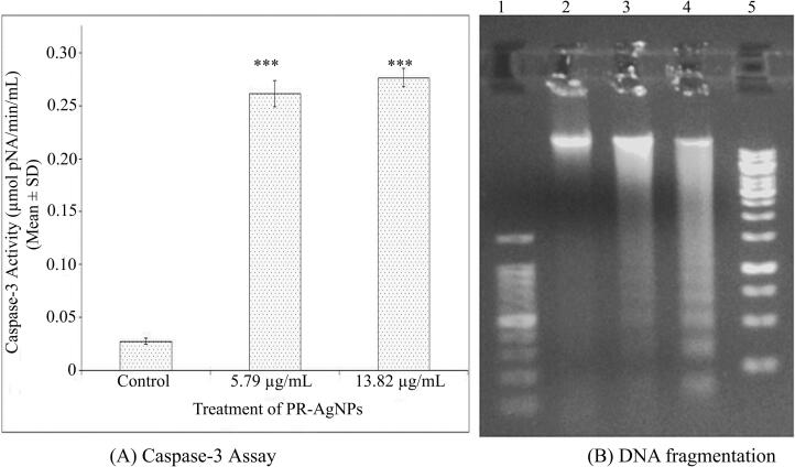 Fig. 5