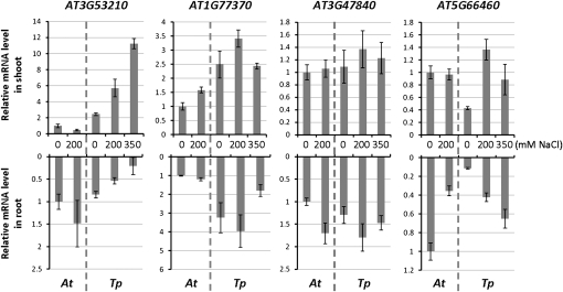 Figure 5.