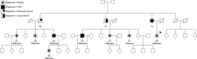 Fig. 1