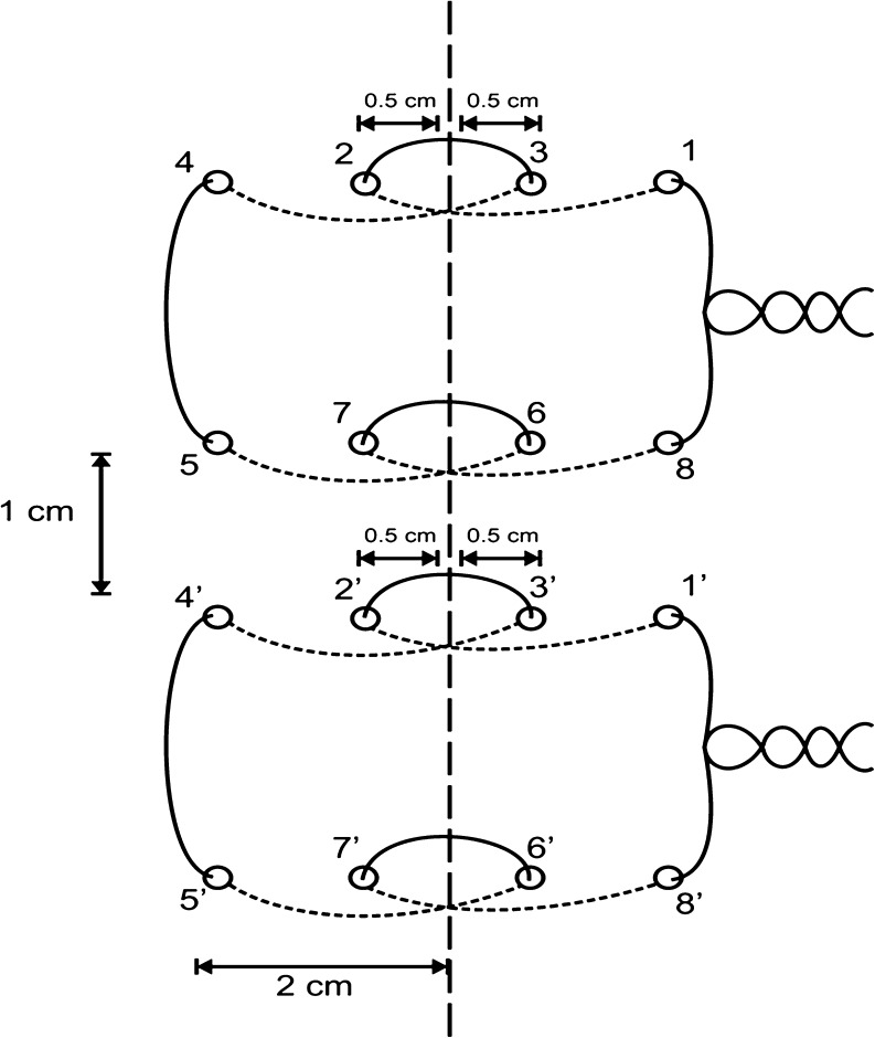 Fig. 2