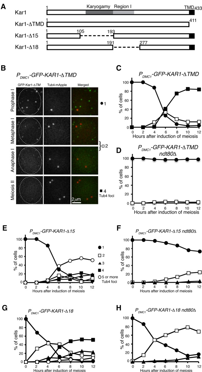 FIGURE 6: