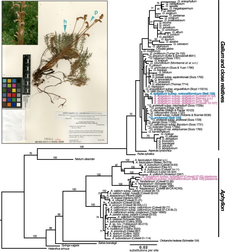 Figure 2.