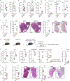 Fig. 5 |