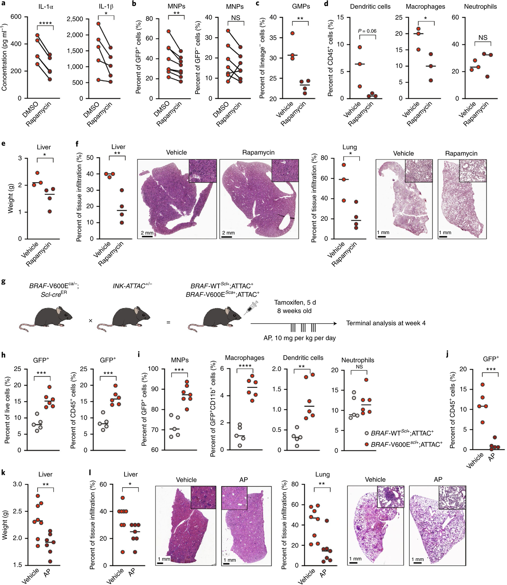 Fig. 5 |