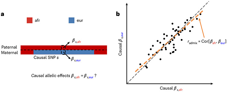 Fig. 1 ∣